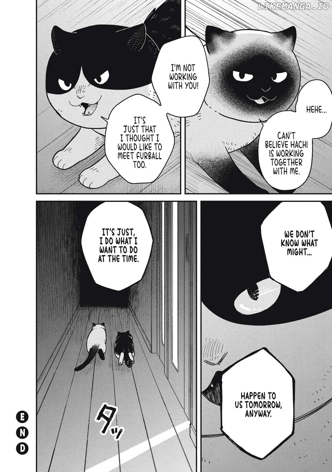 Cat Partners: Maruru And Hachi Chapter 27 - page 12