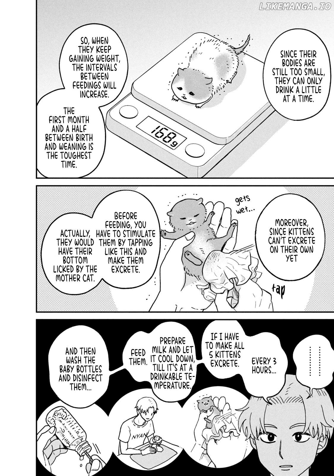 Cat Partners: Maruru And Hachi Chapter 27 - page 2