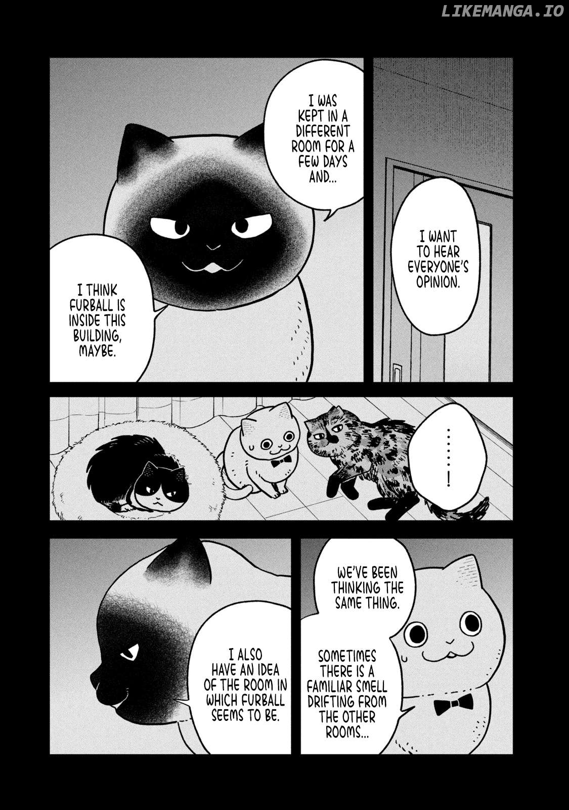 Cat Partners: Maruru And Hachi Chapter 27 - page 9