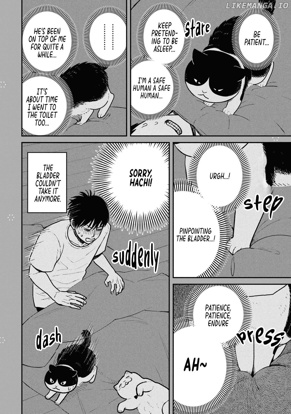 Cat Partners: Maruru And Hachi Chapter 22.1 - page 2