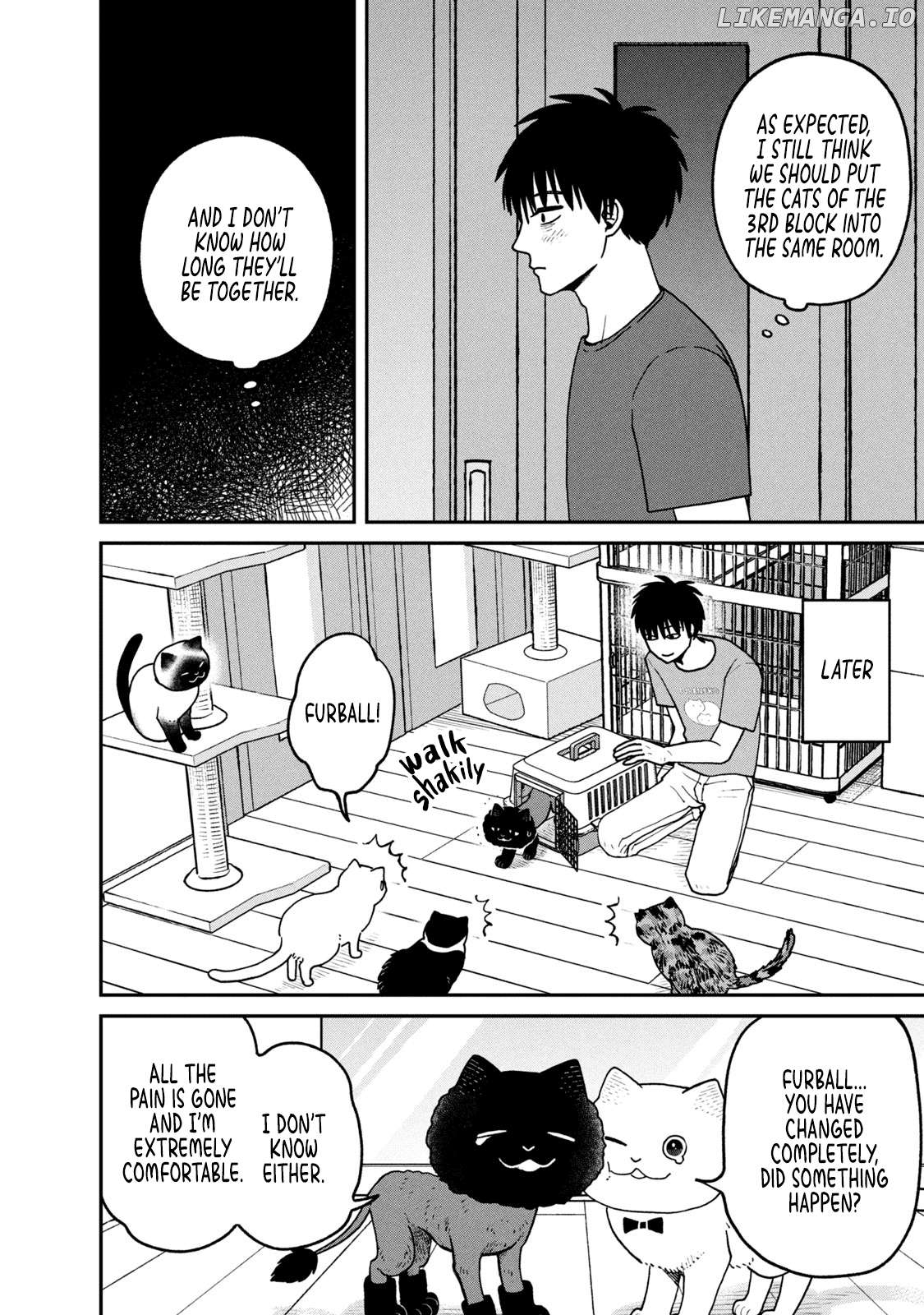 Cat Partners: Maruru And Hachi Chapter 28 - page 10