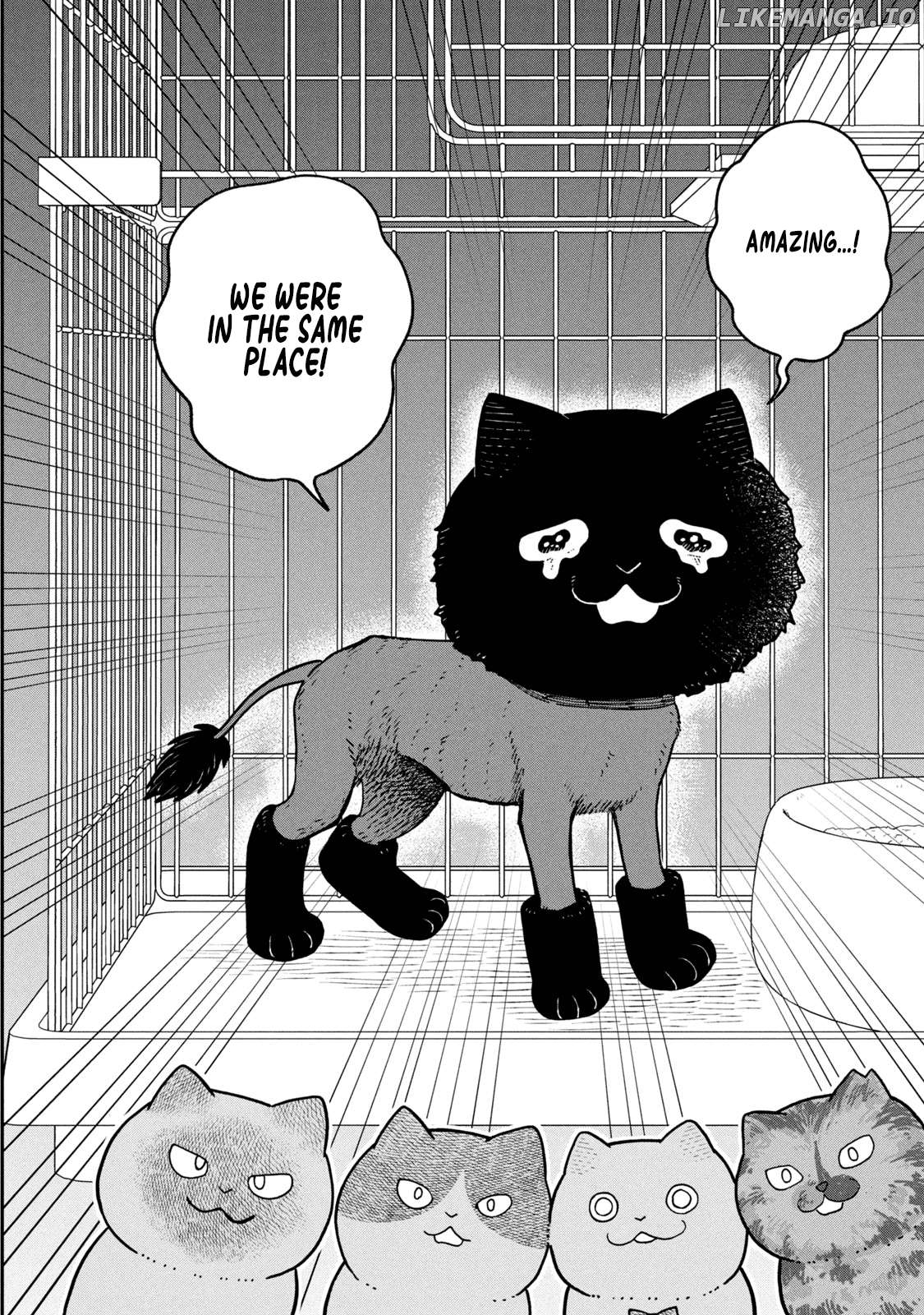 Cat Partners: Maruru And Hachi Chapter 28 - page 4