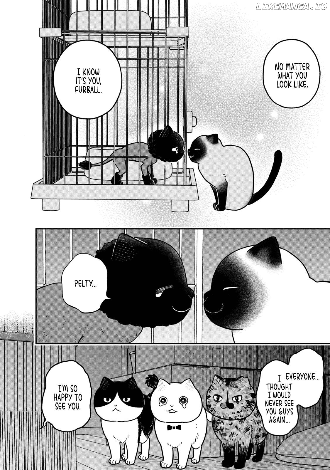 Cat Partners: Maruru And Hachi Chapter 28 - page 6