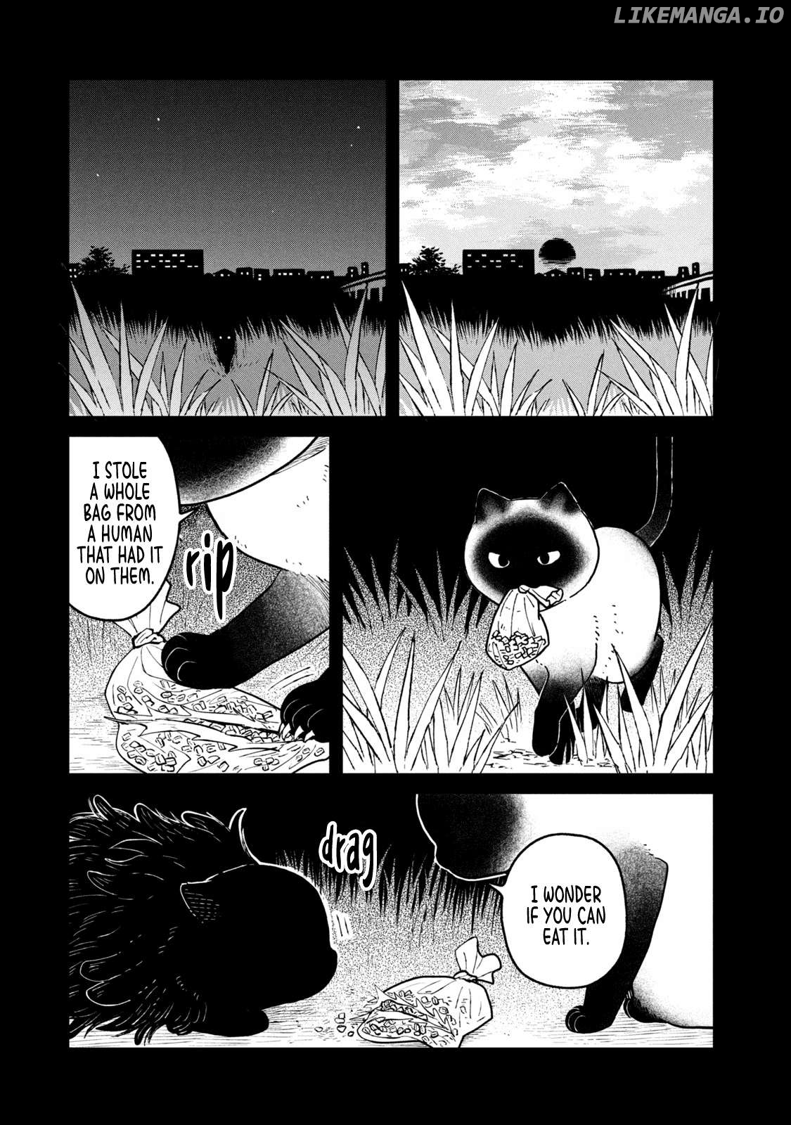 Cat Partners: Maruru And Hachi Chapter 25 - page 11