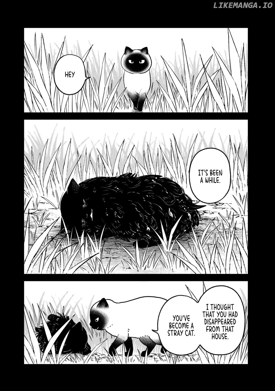 Cat Partners: Maruru And Hachi Chapter 25 - page 9