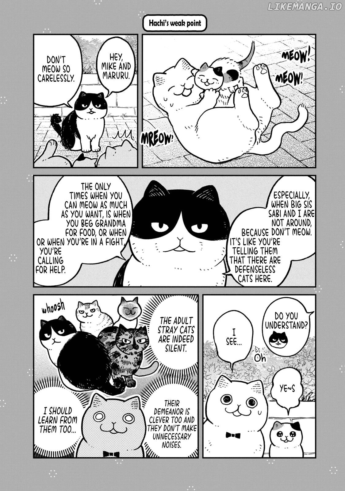 Cat Partners: Maruru And Hachi Chapter 28.1 - page 1