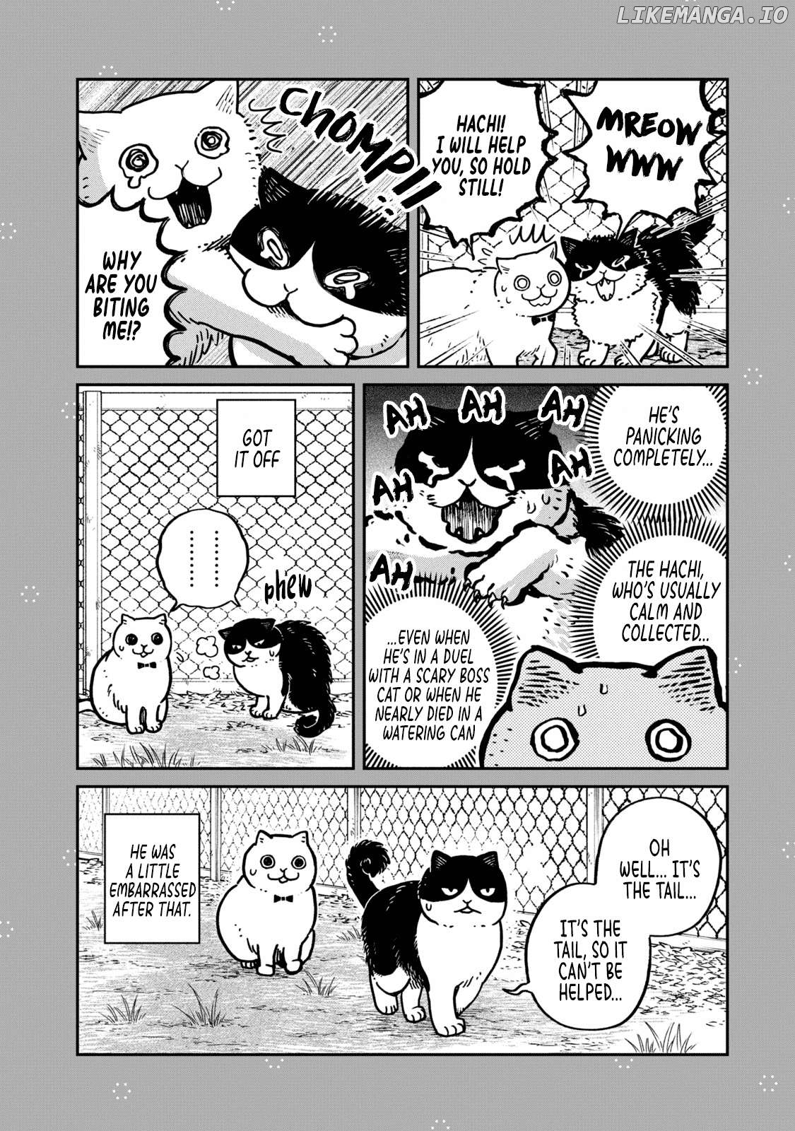 Cat Partners: Maruru And Hachi Chapter 28.1 - page 3