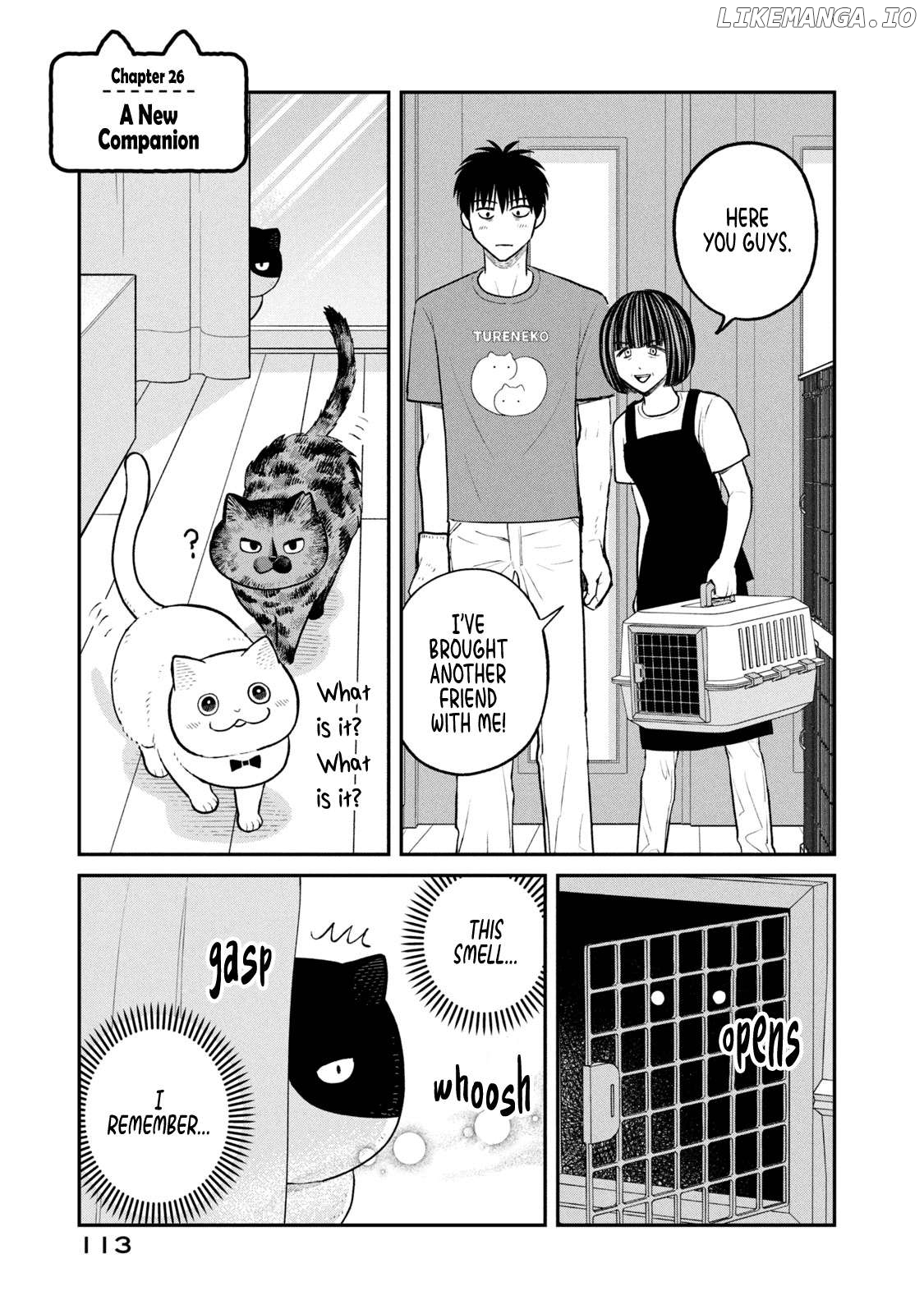 Cat Partners: Maruru And Hachi Chapter 26 - page 1