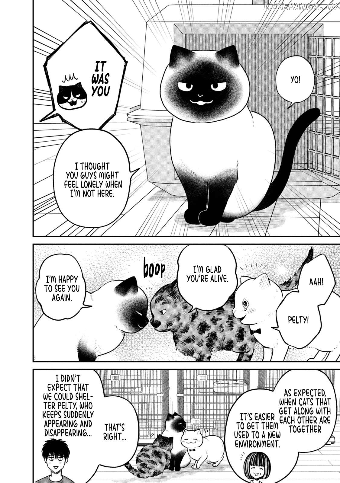 Cat Partners: Maruru And Hachi Chapter 26 - page 2