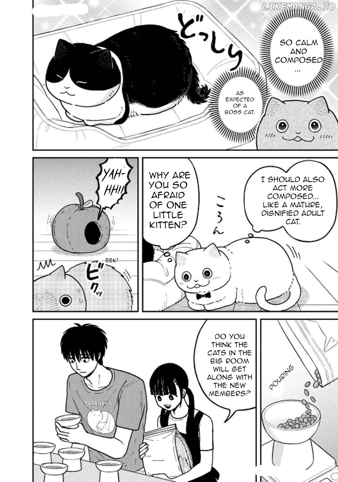 Cat Partners: Maruru And Hachi Chapter 29 - page 10