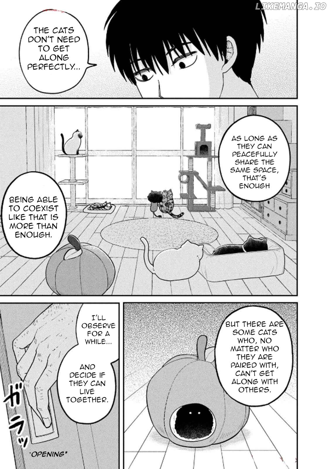 Cat Partners: Maruru And Hachi Chapter 29 - page 11