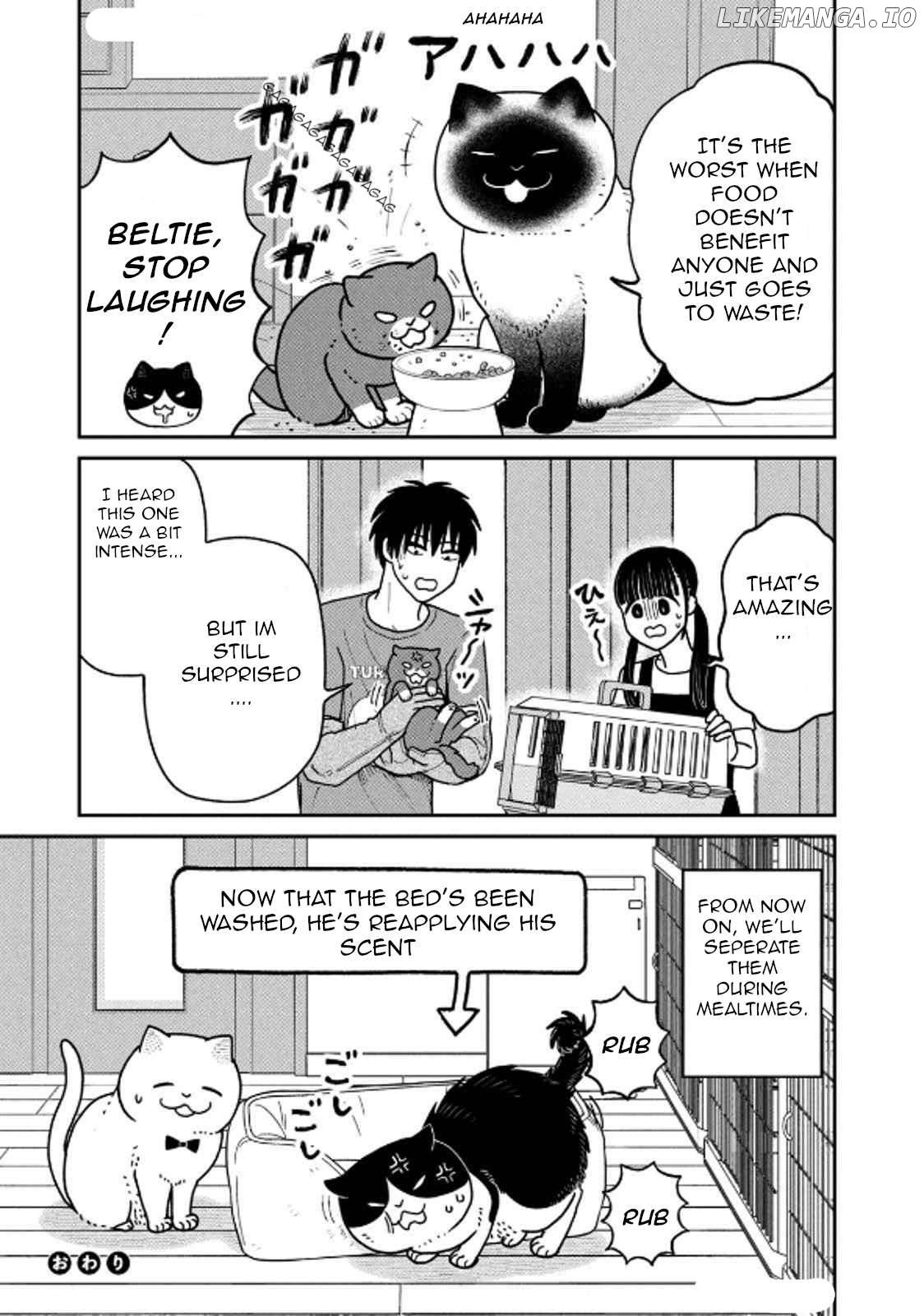 Cat Partners: Maruru And Hachi Chapter 29 - page 17