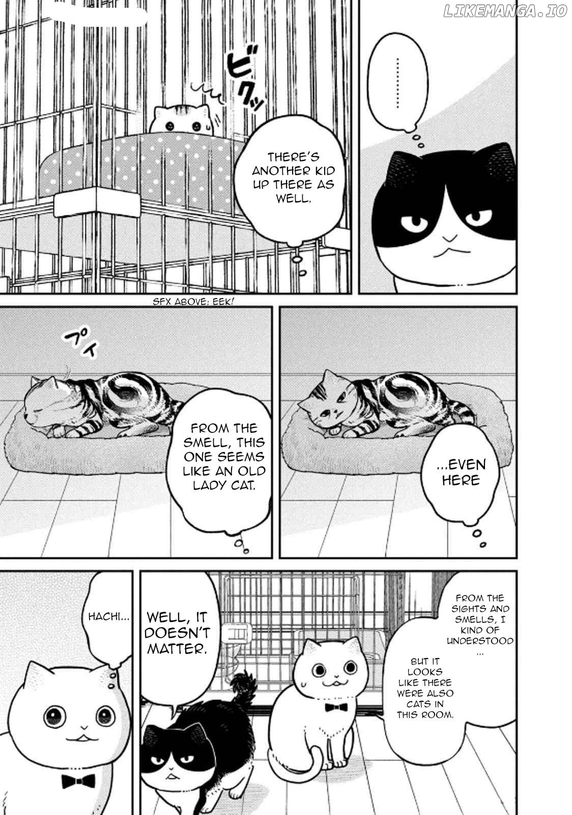 Cat Partners: Maruru And Hachi Chapter 29 - page 9