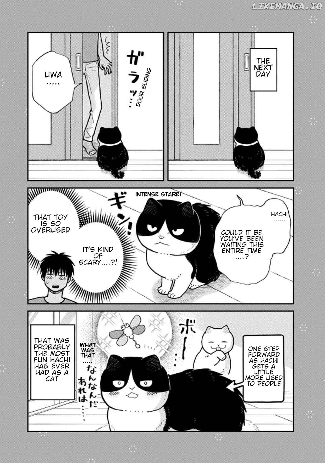 Cat Partners: Maruru And Hachi Chapter 31 - page 17