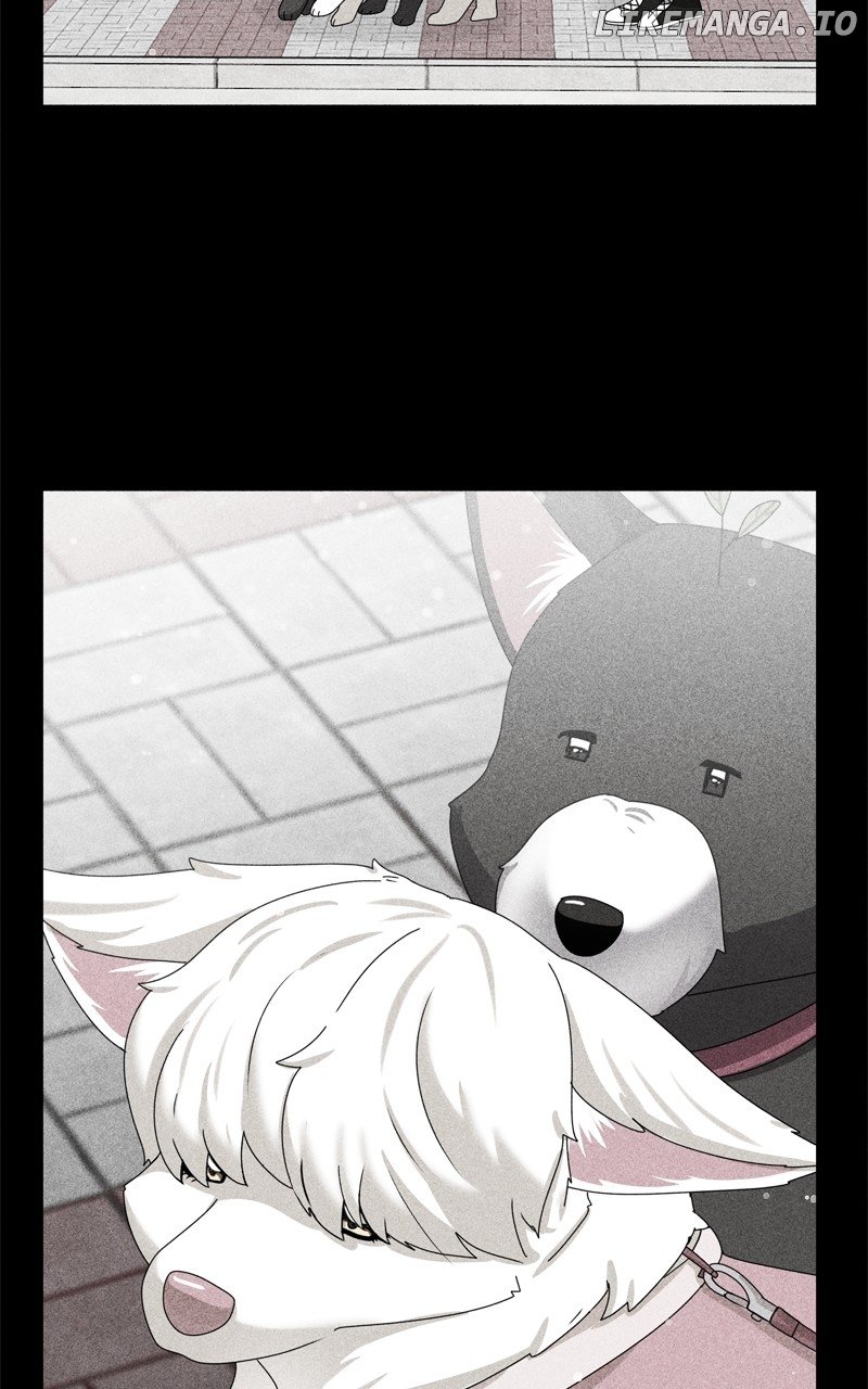 The Dog Diaries Chapter 195 - page 62