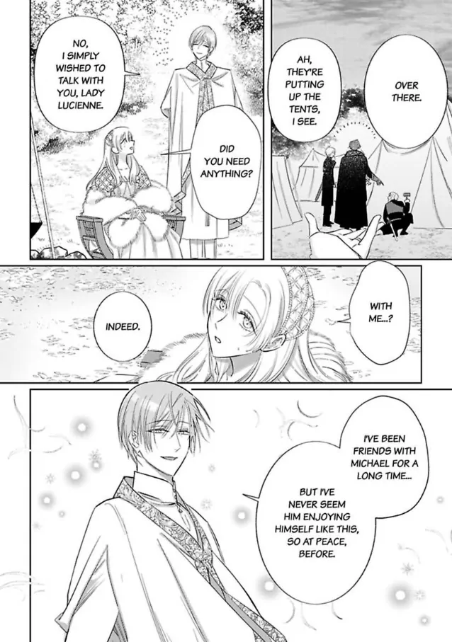 Ai ga Omoi Kishi Koushaku wa, Tsuihou Reijou no Subete wo Ubai Tsukushitai. Chapter 17 - page 14