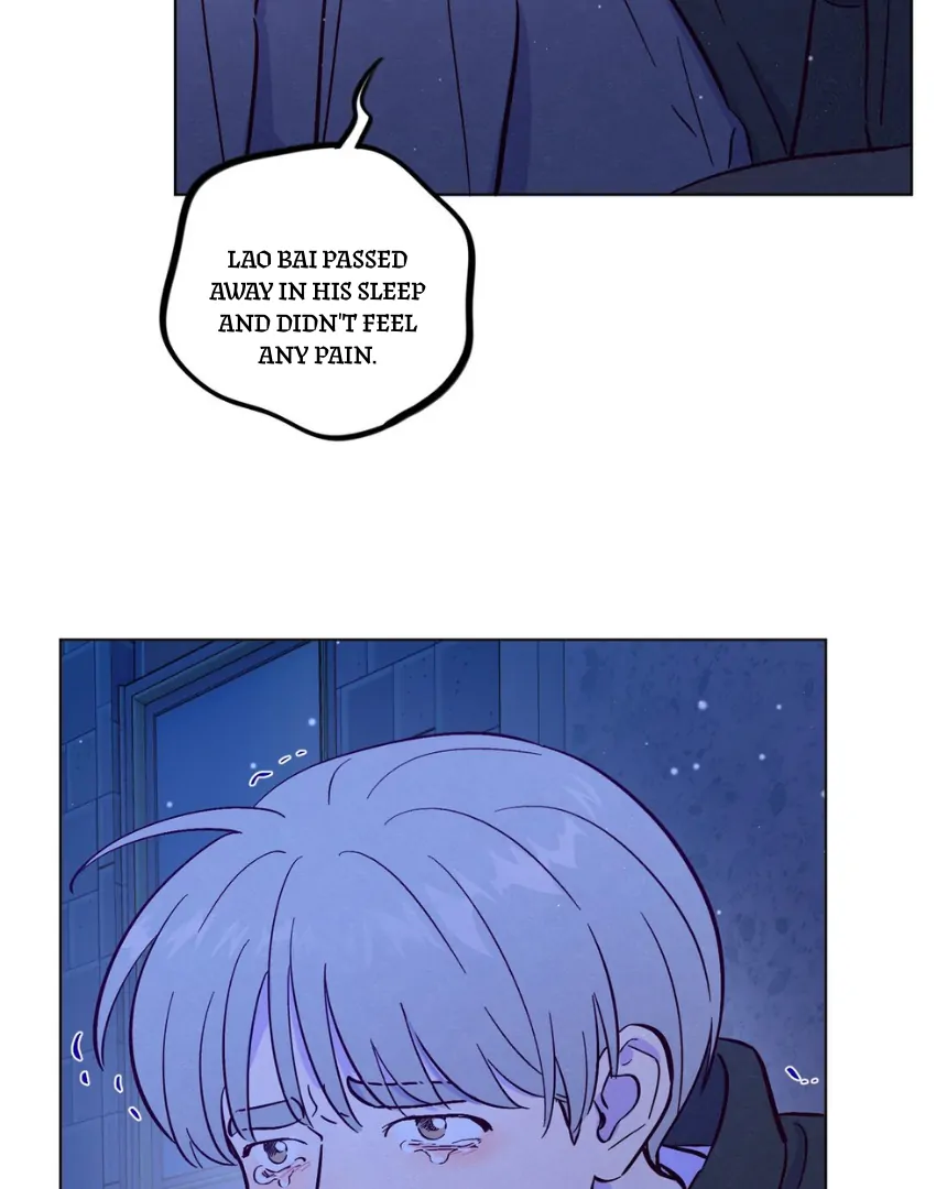 Trapping the Foxy Doctor Chapter 116 - page 31