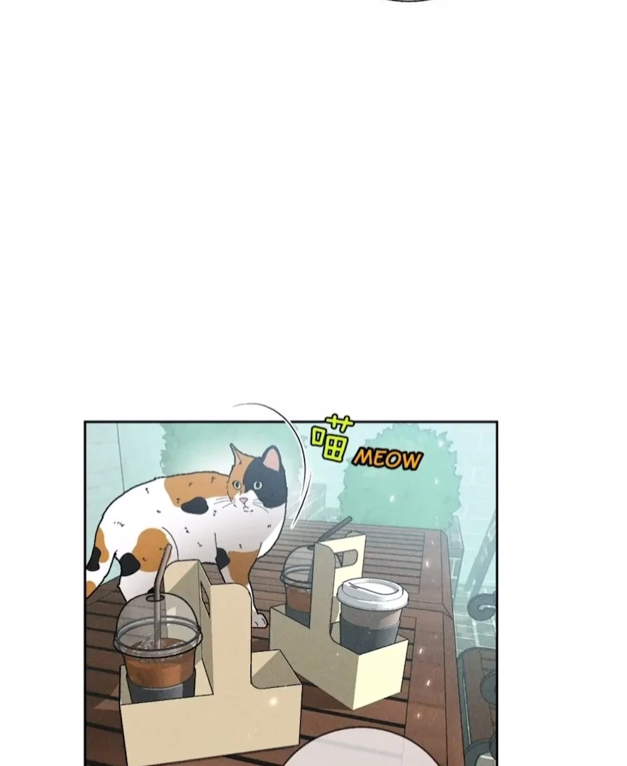 Mr Mo’s Secret Chapter 47 - page 24