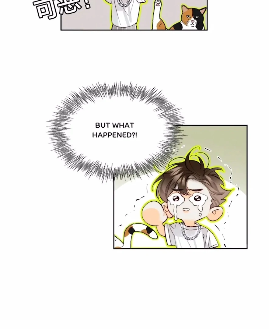 Mr Mo’s Secret Chapter 47 - page 6