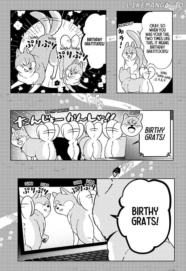 Shiba Inu Rooms Chapter 25 - page 24