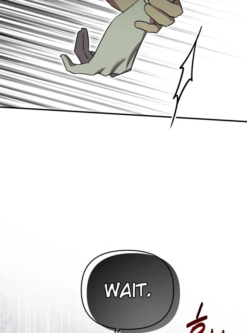 I'm a Solo Guide Chapter 33 - page 9