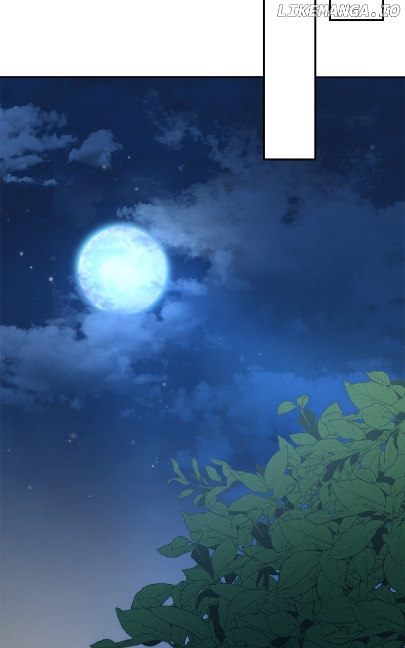 The Laws of Cultivation Chapter 25 - page 42