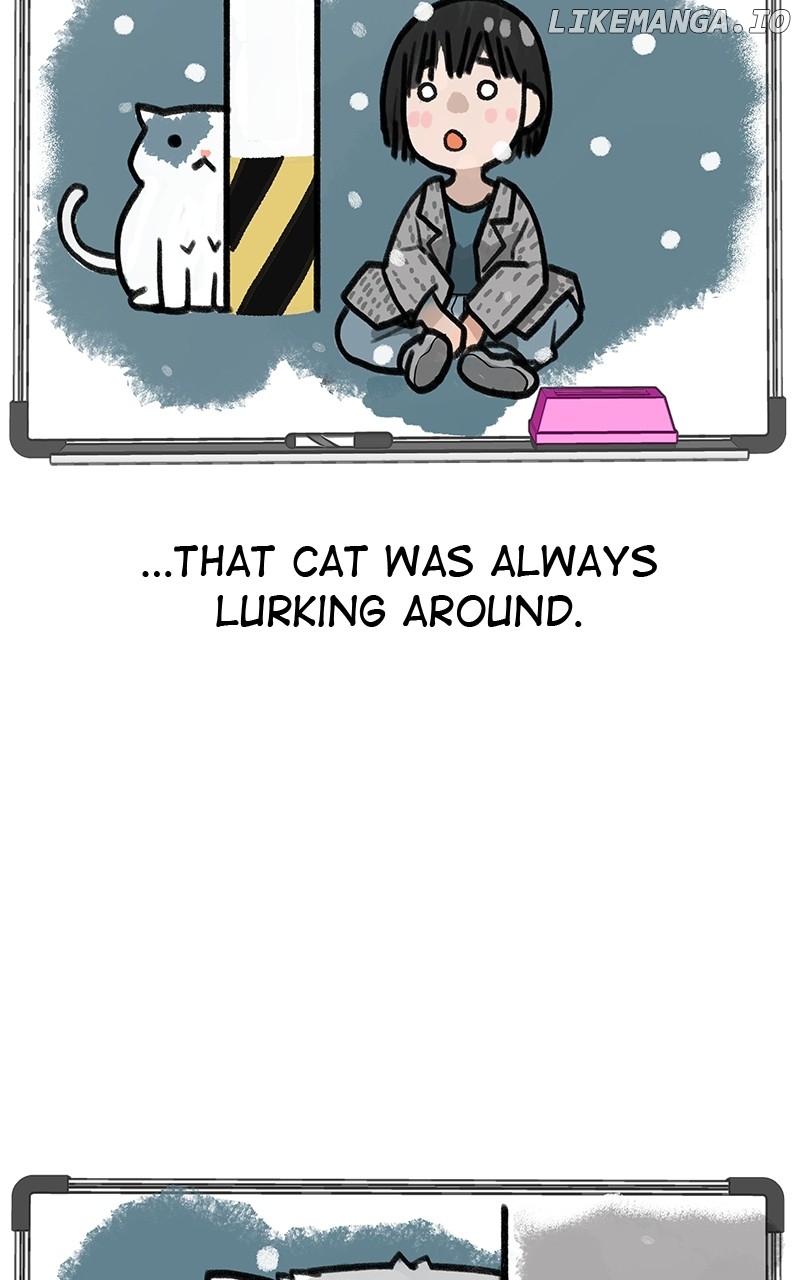 Radiant Rewind Chapter 23 - page 81